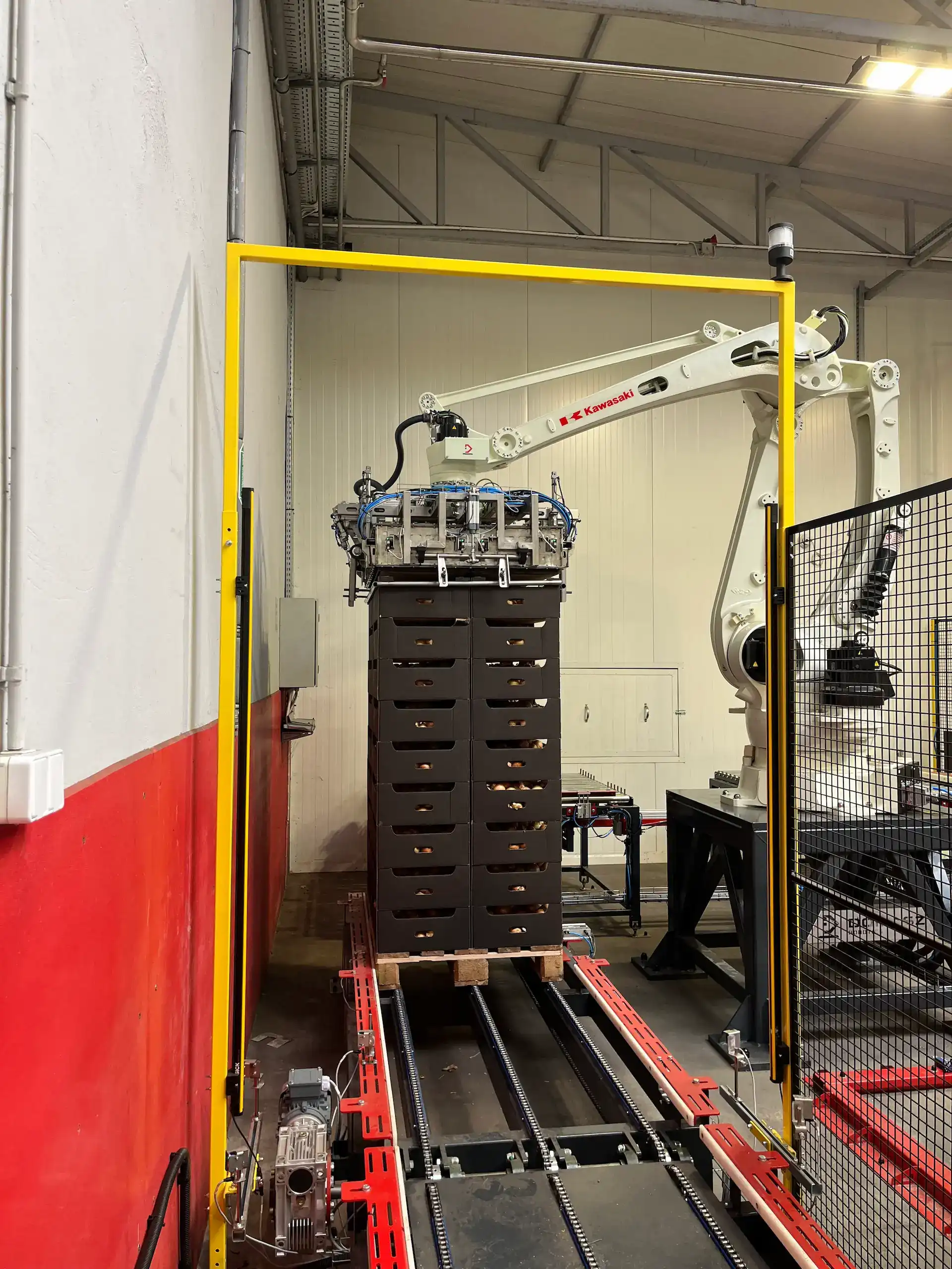 Robot układający kartony z cebulą na palecie w sektorze spożywczym.