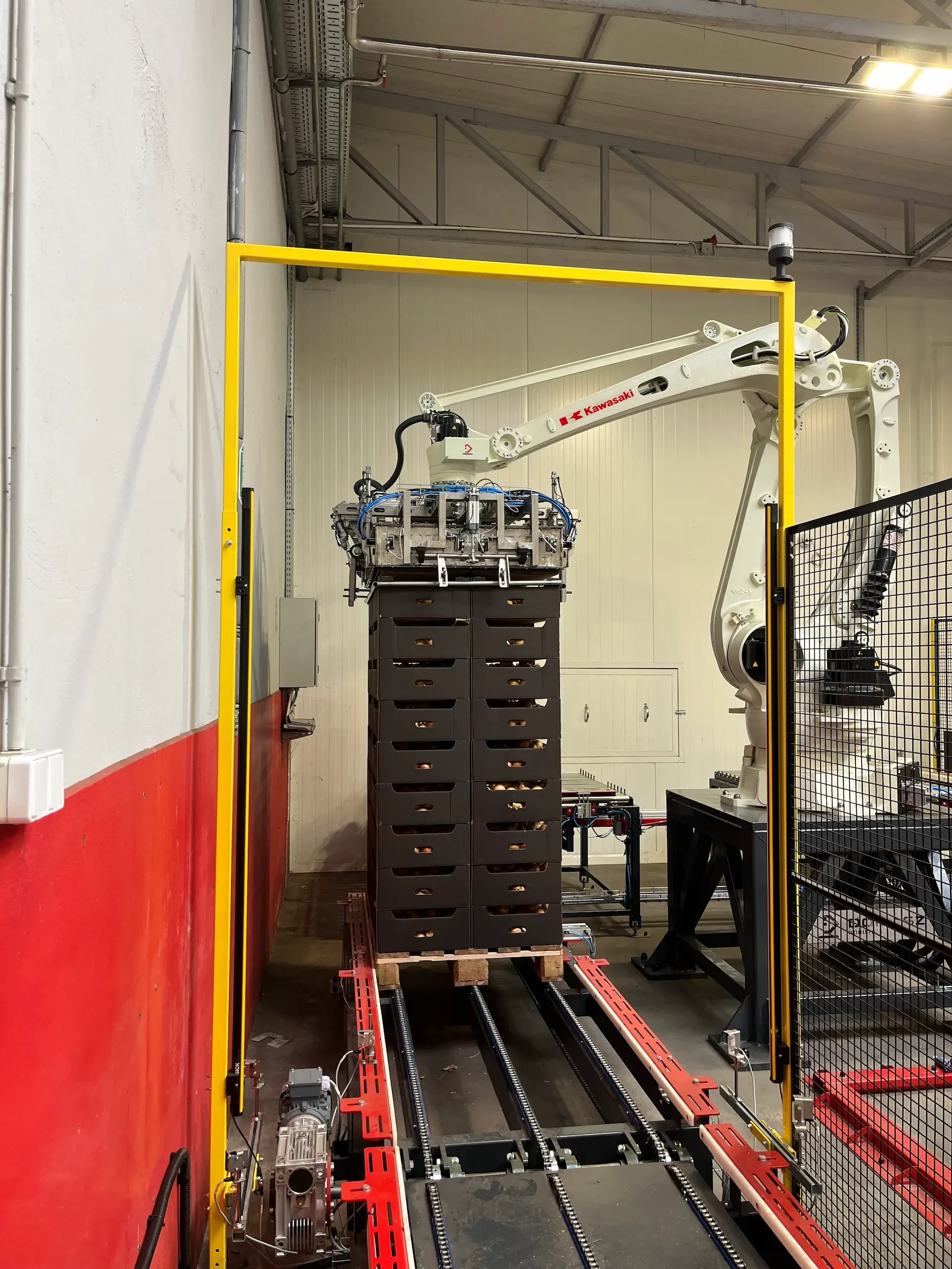 Robot układający kartony z cebulą na palecie w sektorze spożywczym.