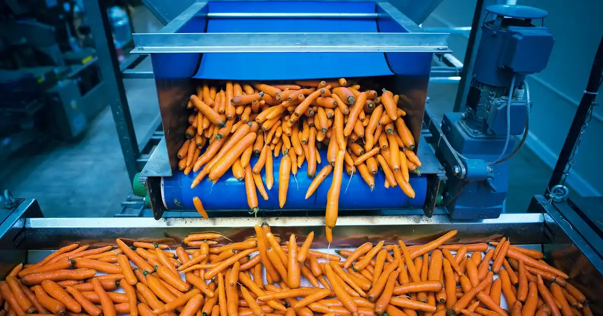 Schemat automatycznej linii pakującej dla przemysłu spożywczego z robotem paletyzującym