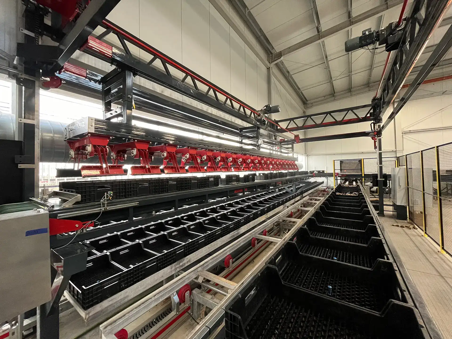 Transporter w firmie Nowacki Tulipany - paletyzacja w ogrodnictwie.