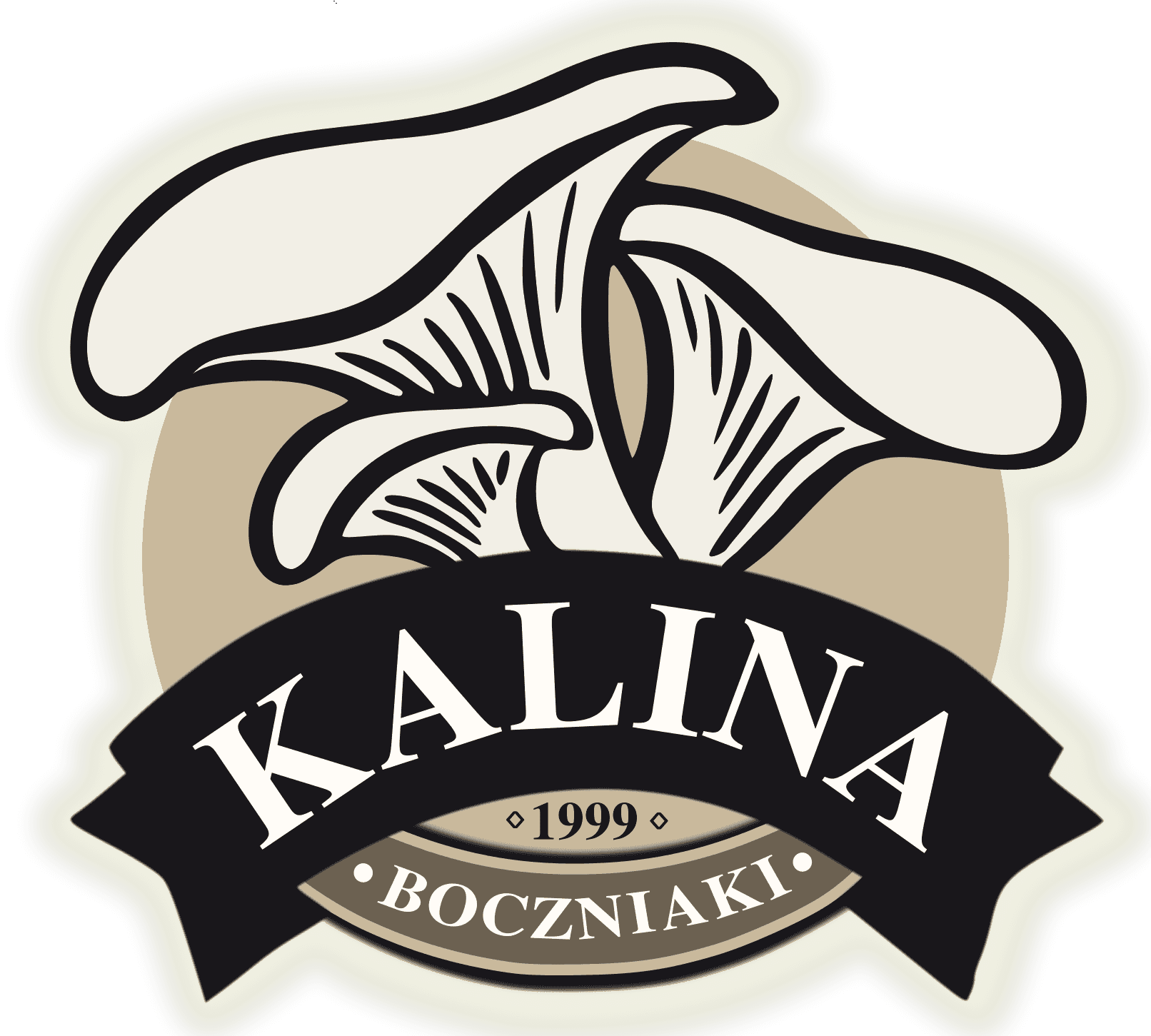 Kalina Boczniaki logo - DM Robotics client