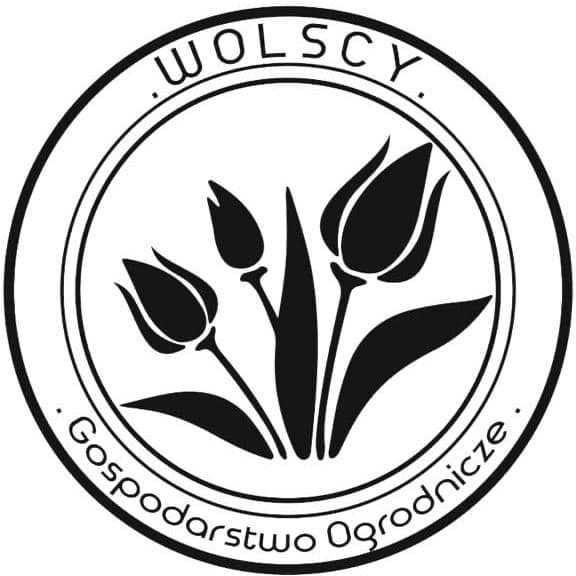 Wolscy Tulipany logo - DM Robotics partner.