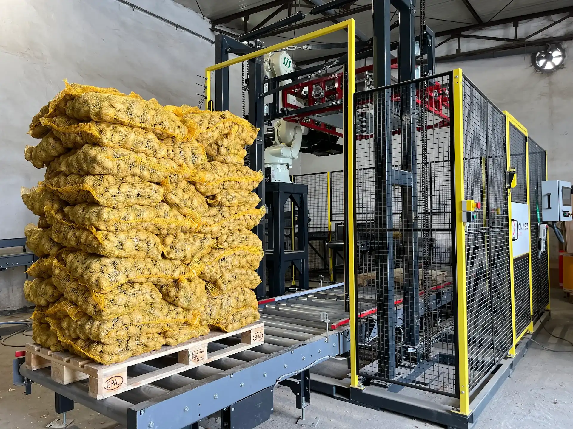 Ziemniaki na podajniku rolkowym w linii do paletyzacji.