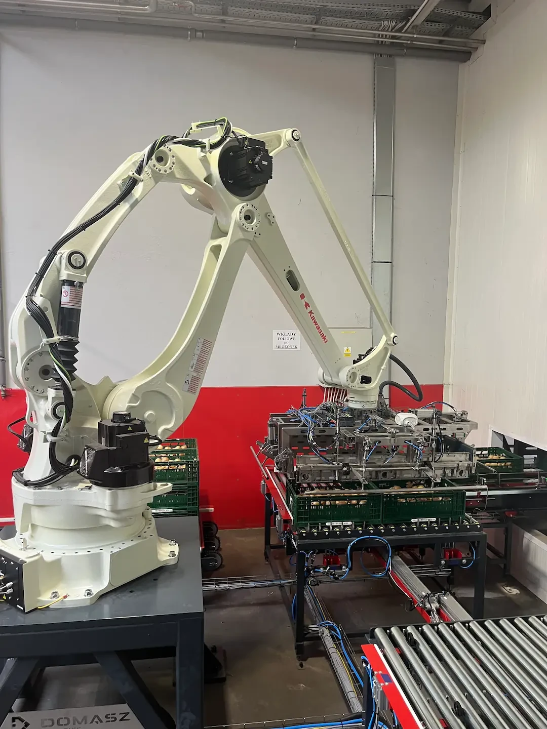 Robot układający skrzynki z cebulą na palecie.