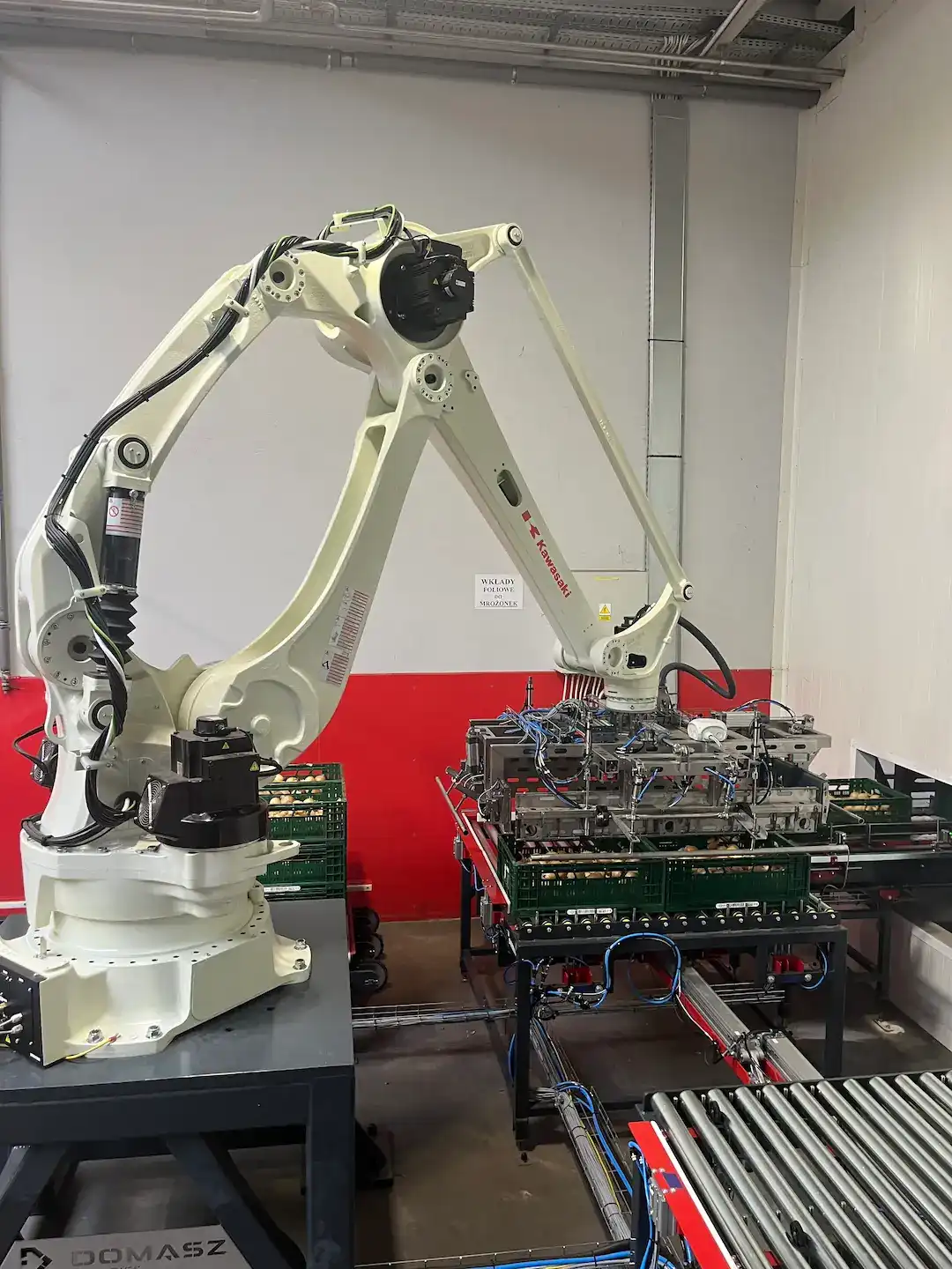 Robot układający skrzynki z cebulą na palecie.