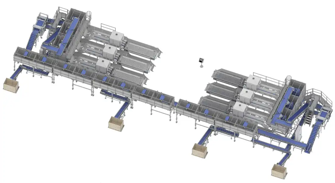 Widok z góry na automatyczną linię do przetwarzania cebuli