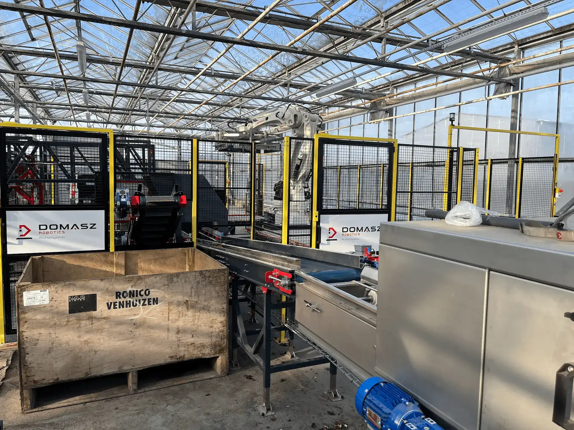 Transporter taśmowy i bin w systemie paletyzacji w ogrodnictwie.