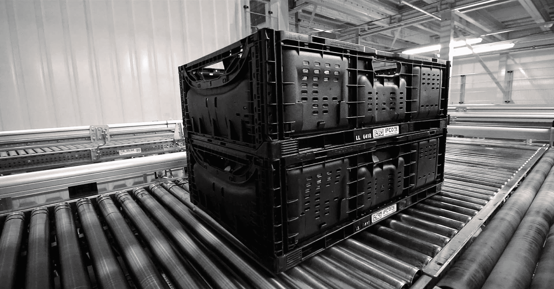 Zrobotyzowana paletyzacja skrzynek IFCO.